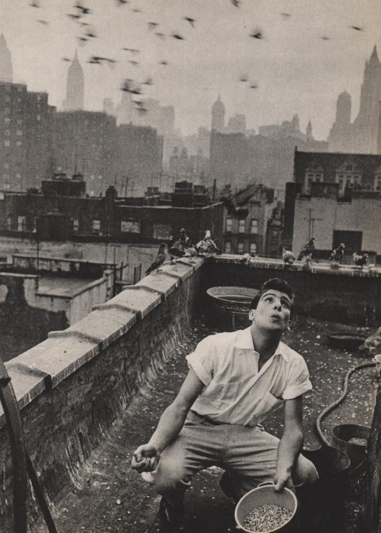 Bruce Davidson - Pigeon, Print: BRUCE DAVIDSON (B. 1933) Pigeon Print 7" x 9 1/2"