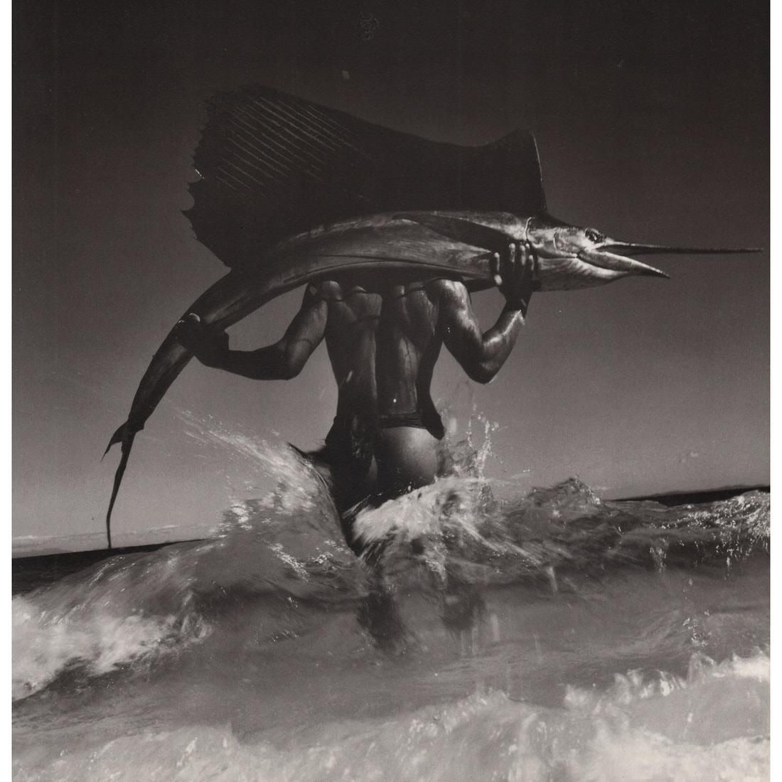 Gian Paolo Barbieri - Sailfish, Print (1 of 1)