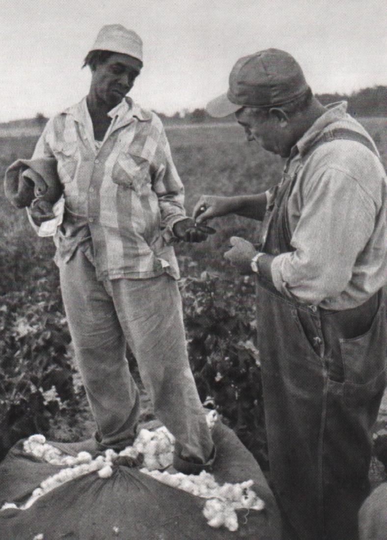 Bruce Davidson - Cotton Fields, 1962: BRUCE DAVIDSON (B. 1933) Cotton Fields, 1962 Print 6" x 8 1/4"