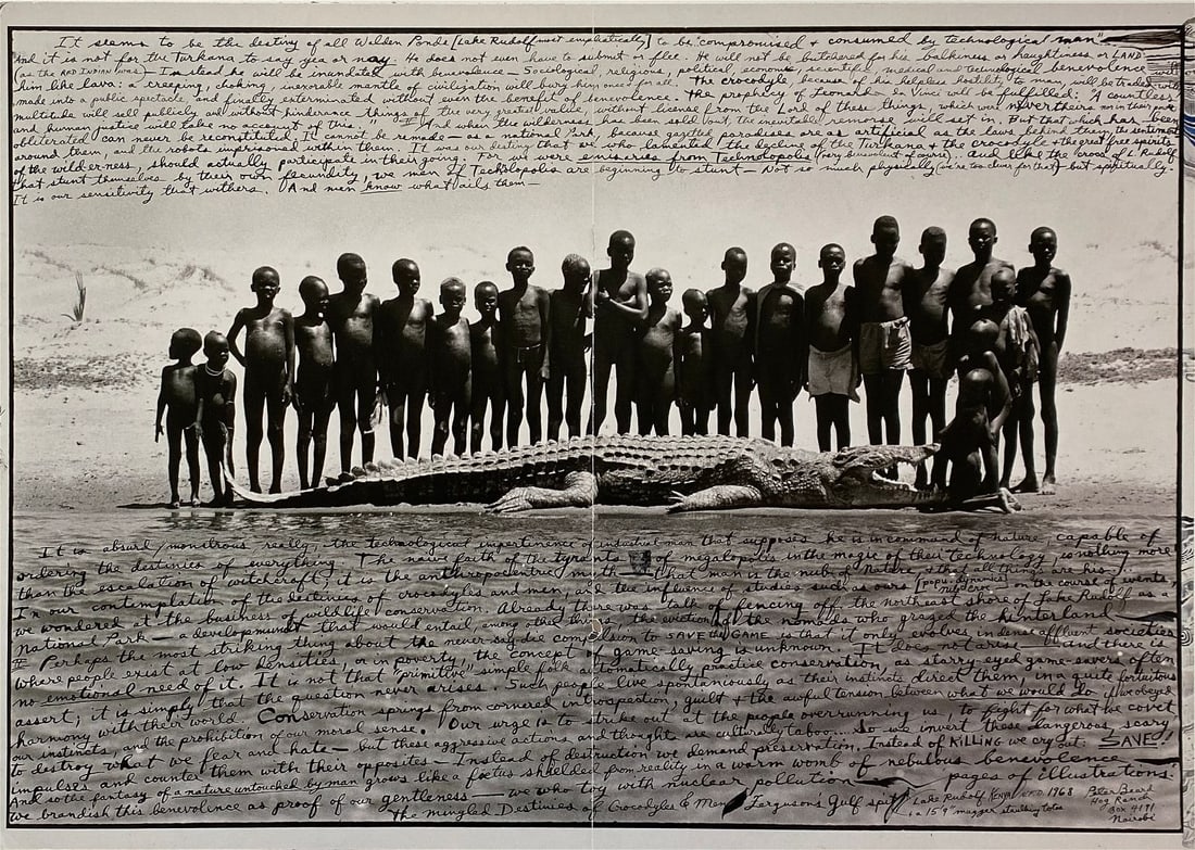 Peter Beard - Ferguson's Gulf Spit Crocodile, 1968 (1 of 8)