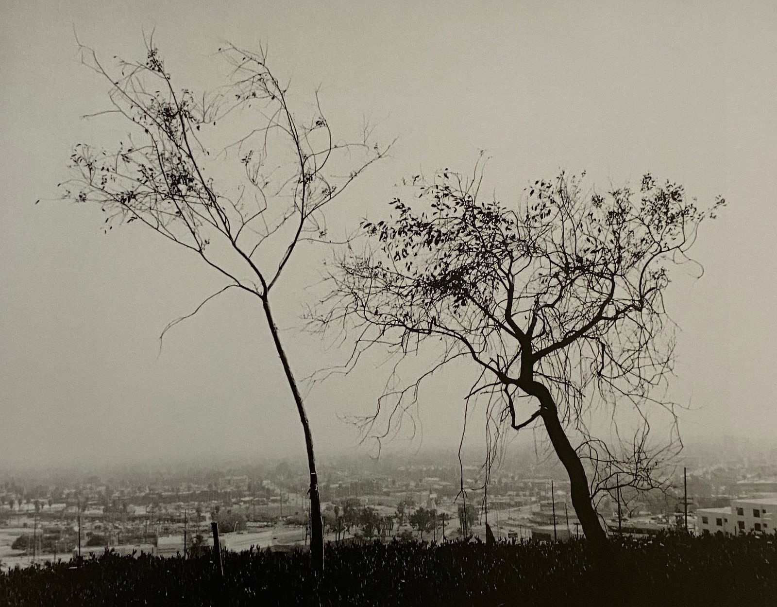 Robert Adams - On Signal Hill, California, 1983: ROBERT ADAMS (B.1937) On Signal Hill, Overlooking Long Beach, California, 1983 Print 7" x 6"