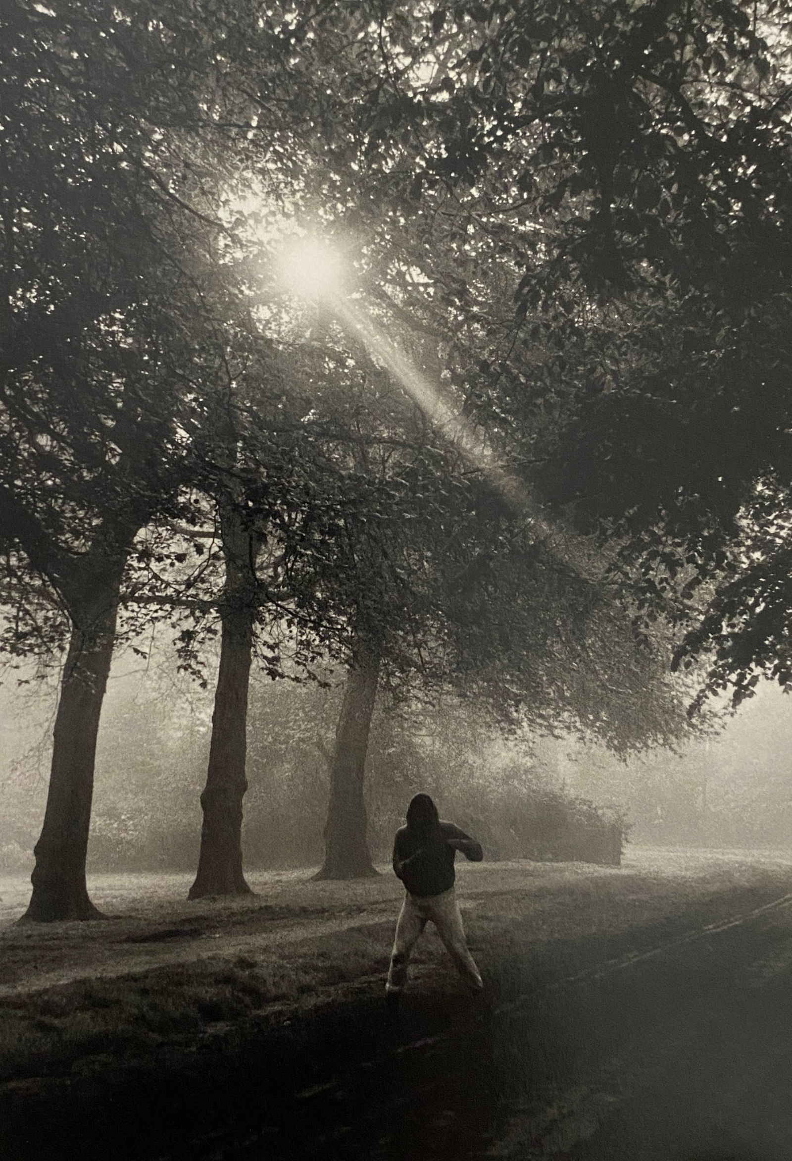 Gordon Parks - Muhammad Ali, 1966 (1 of 1)