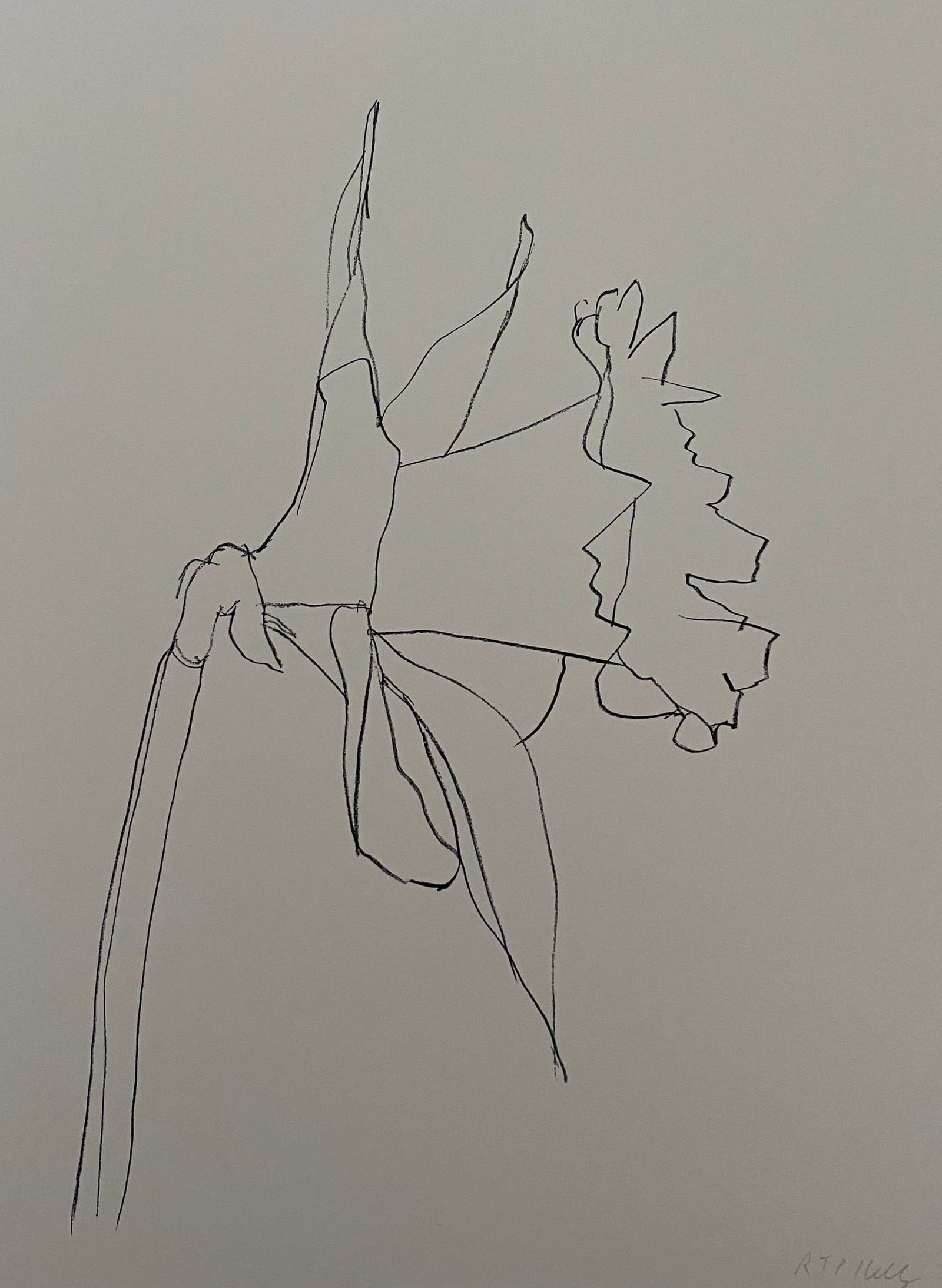 Ellsworth Kelly - Daffodil, 1979 (1 of 1)