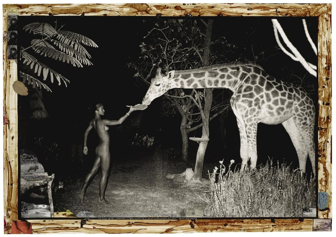 Peter Beard - Maureen Gallagher and Night Feeder, 1987: PETER BEARD (1938-2020) Maureen Gallagher and Night Feeder, 1987 Print 6 1/2" x 12 1/2"