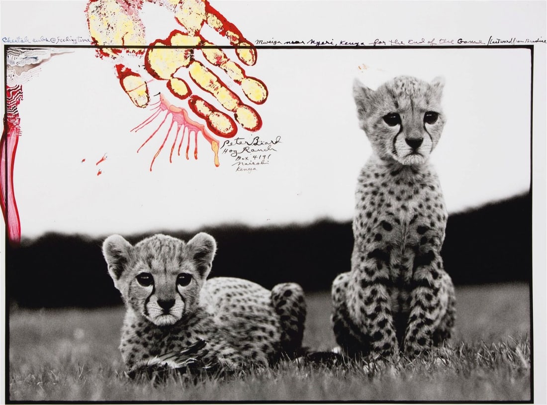 Peter Beard - Cheetah Cubs, 1968 (1 of 1)
