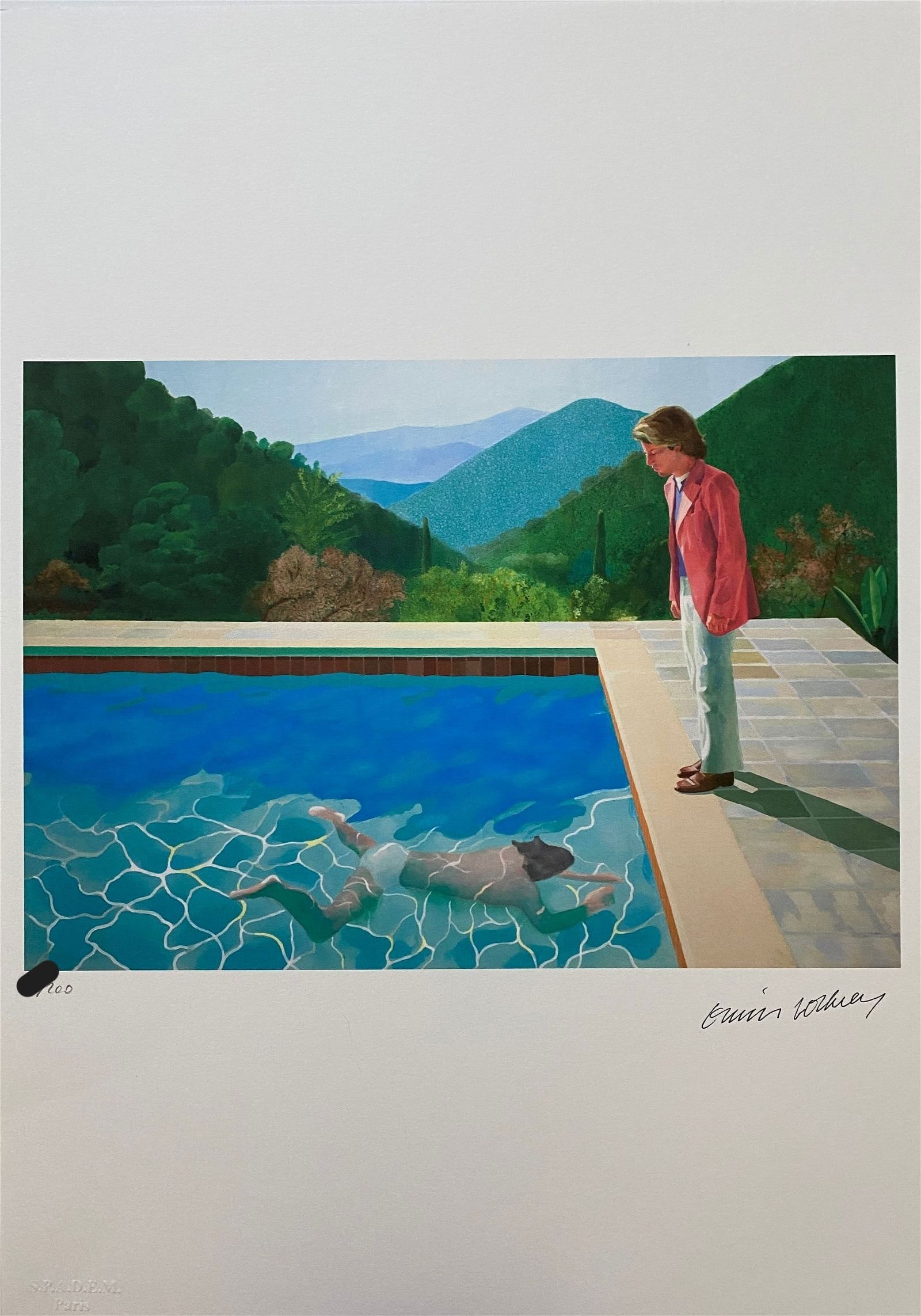 David Hockney - Signed & Numbered, Lithograph (1 of 11)