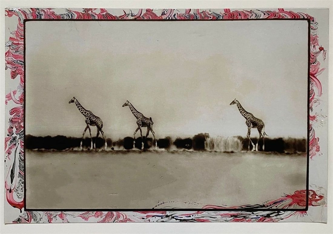 Peter Beard - Giraffes on the Taru Desert, 1960: PETER BEARD (1938-2020) Giraffes on the Taru Desert, Kenya, 1960 Offset Lithograph 14" x 20 3/4"