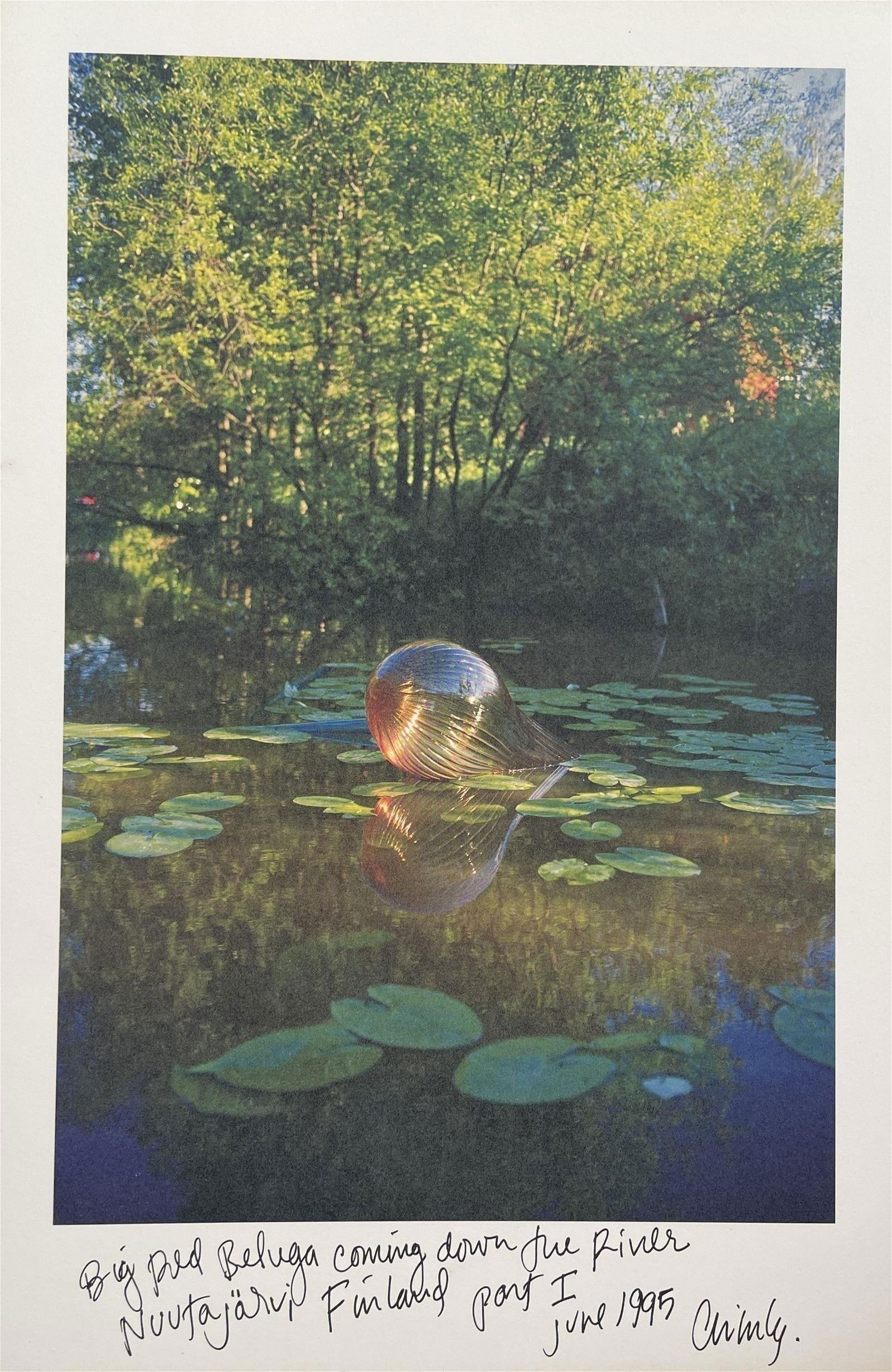 Dale Chihuly - Vintage Print, 1995 (1 of 5)