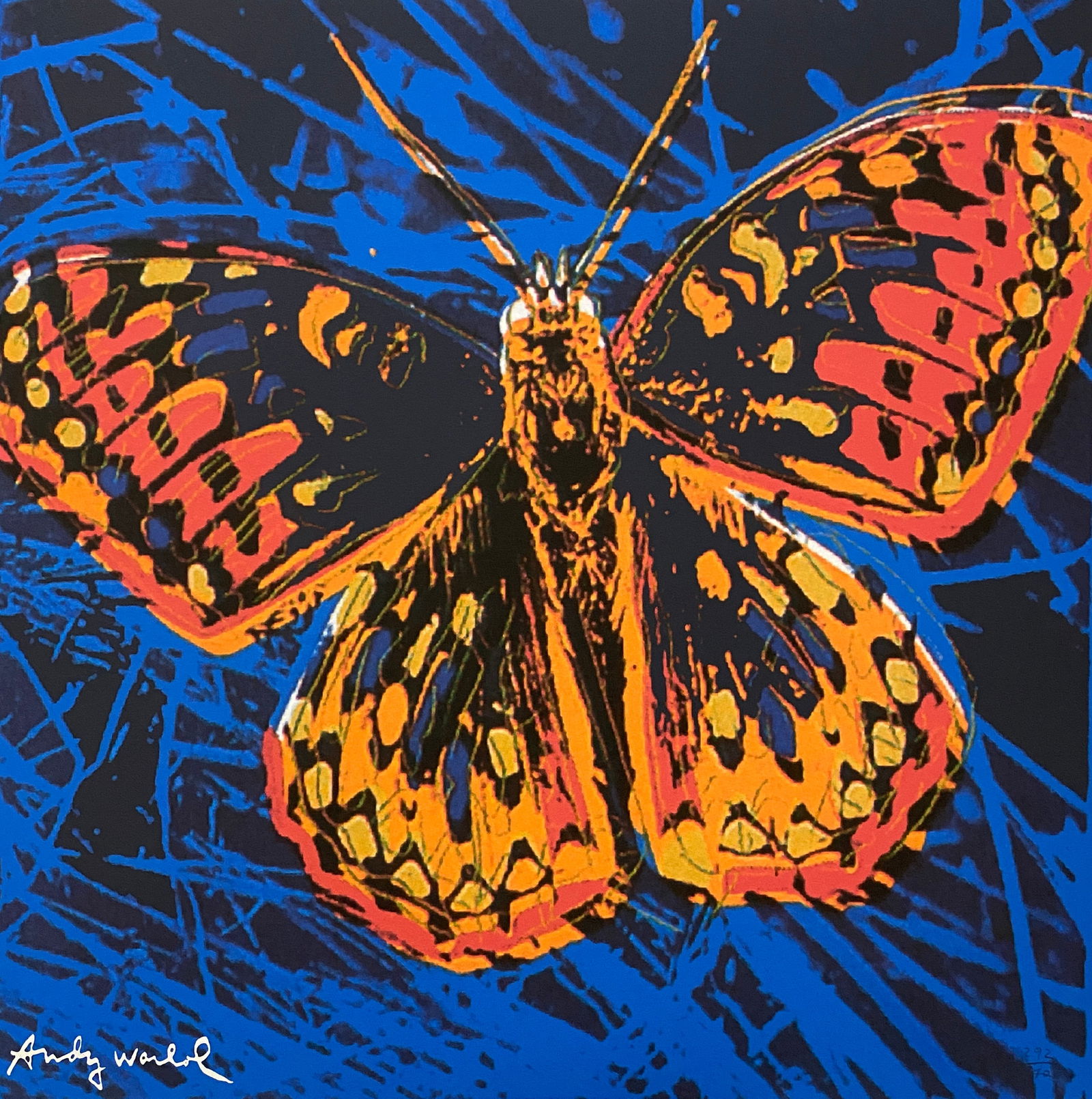 Andy Warhol - Butterfly, Lithograph (1 of 11)