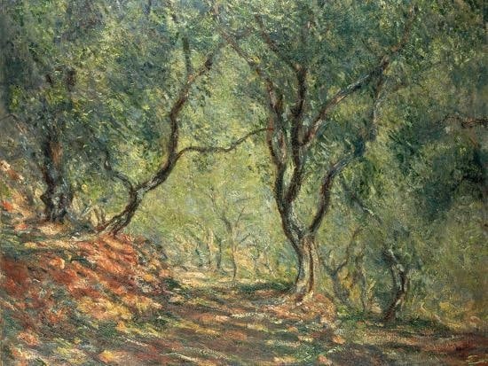 Claude Monet - Olive Grove in the Moreno Garden, 1884 (1 of 1)