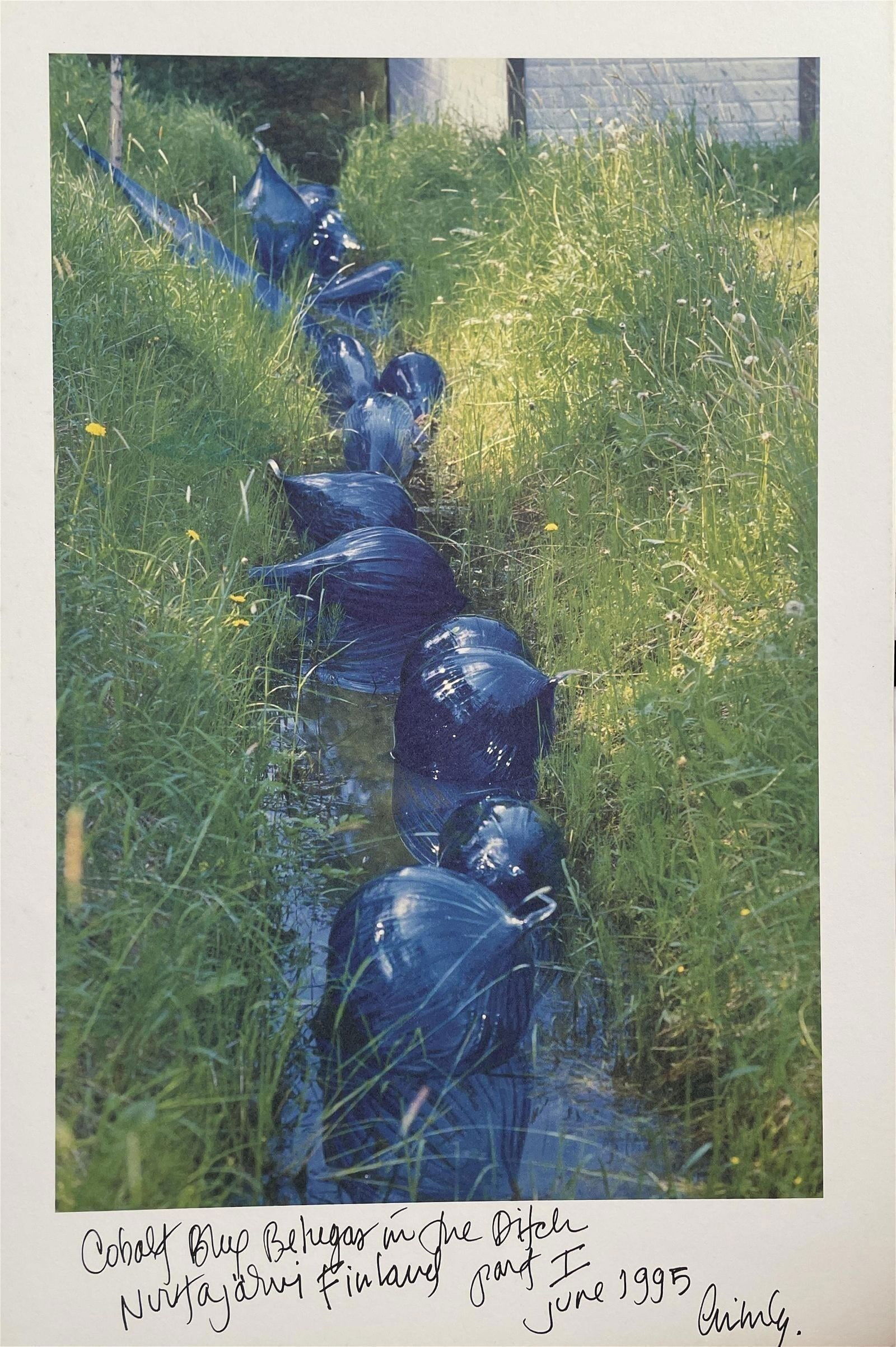 Dale Chihuly - Vintage Print, 1995 (1 of 5)
