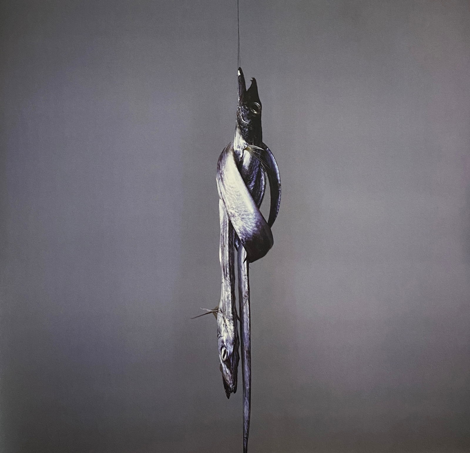 Richard Learoyd - You and Me, 2018: RICHARD LEAROYD (B. 1966)You and Me, 2018 Print 8" x 8"