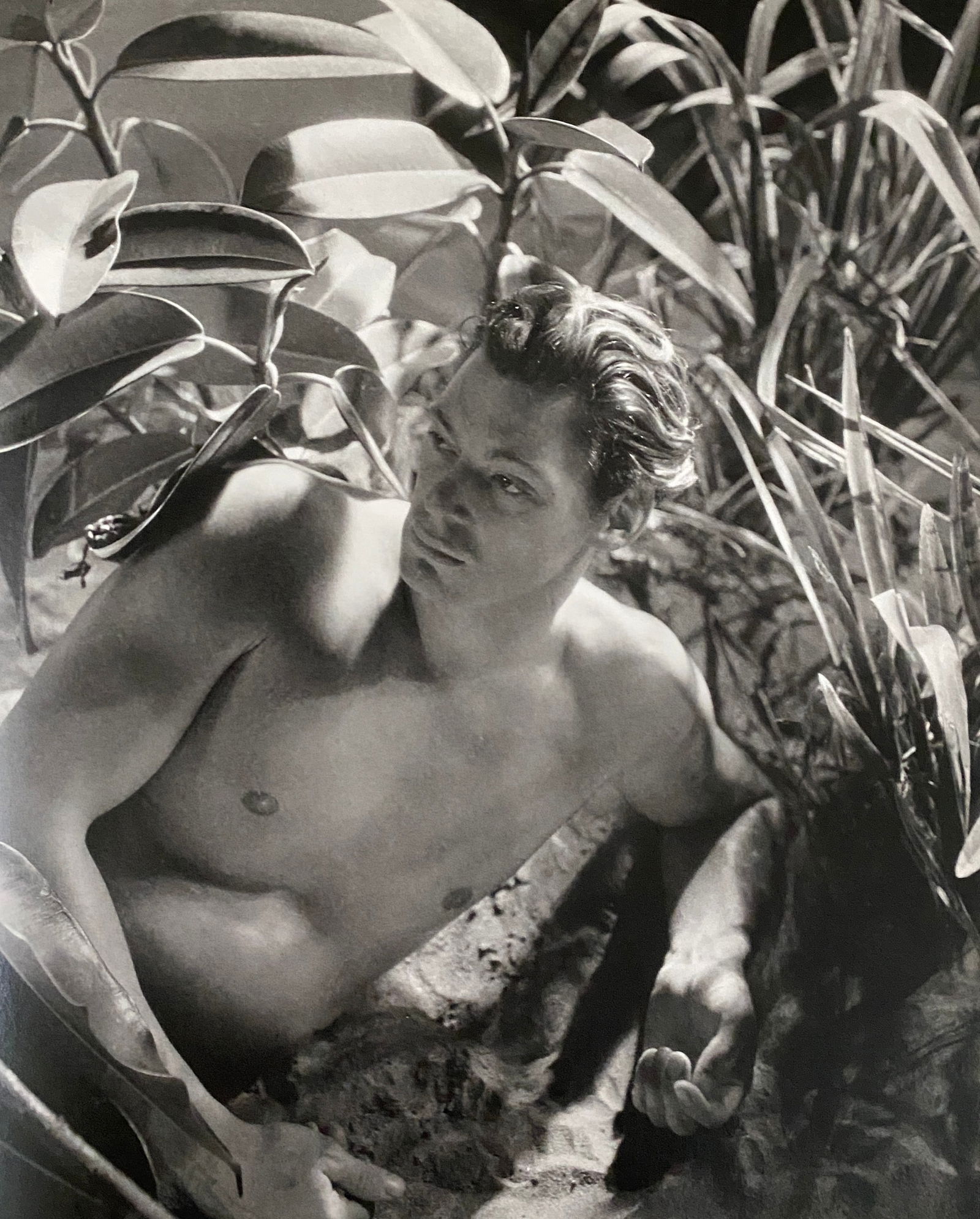 George Platt Lynes - Johnny Weissmuller, 1937 (1 of 1)