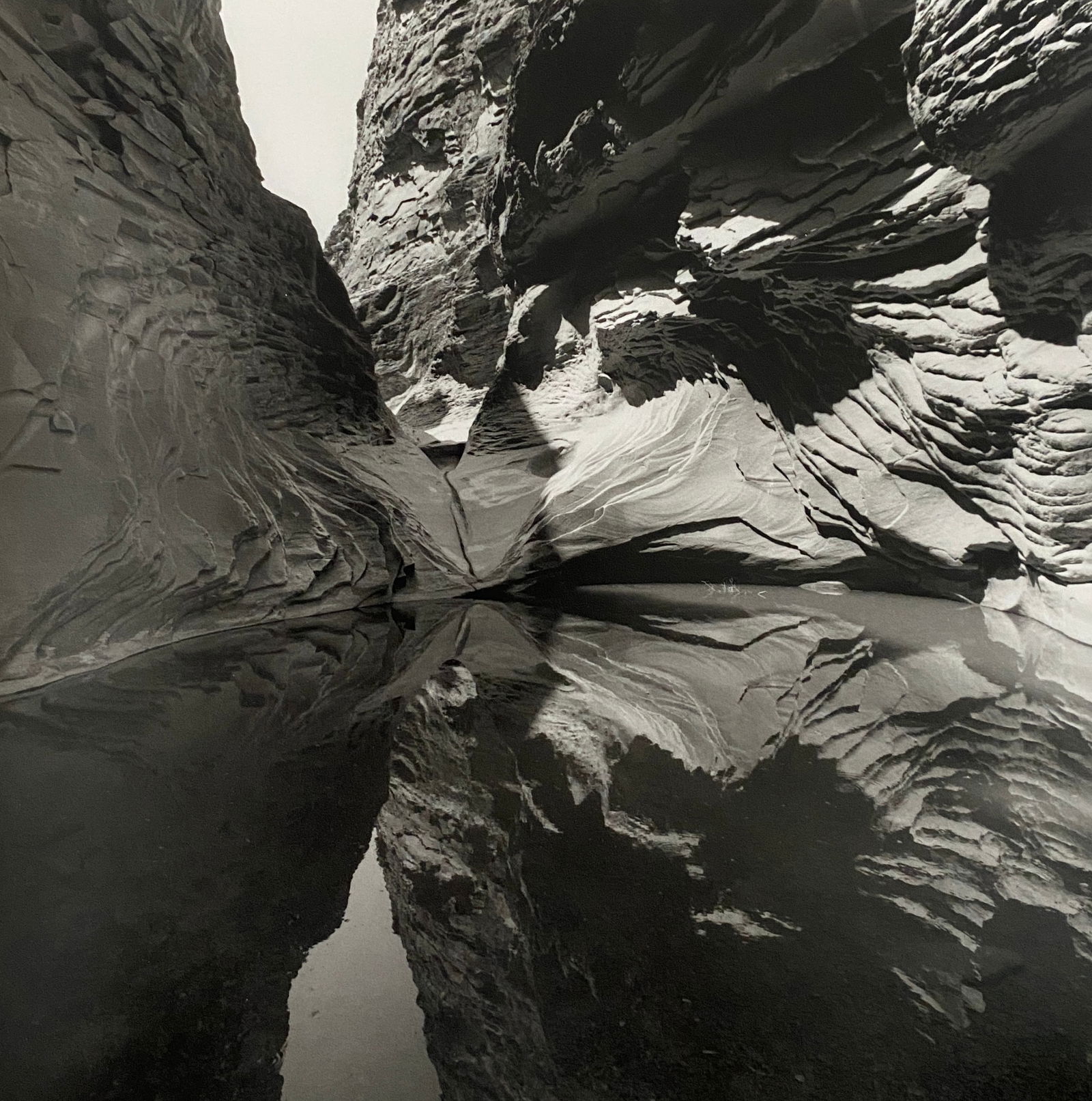 Lee Friedlander - Grand Canyon, 1992: LEE FRIEDLANDER (B.1934) Grand Canyon, 1992 Print 8 1/4" x 8 1/4"