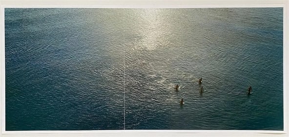 Richard Misrach - Untitled, 2003