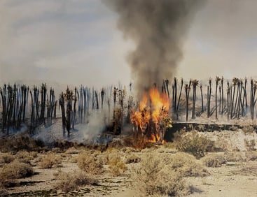 Richard Misrach - Desert Fire #1, 1983
