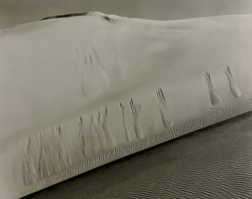 Edward Weston - Dunes, Oceano, 1936
