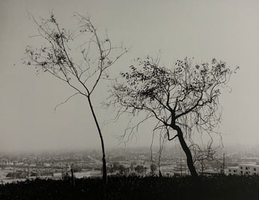 Robert Adams - On Signal Hill, California, 1983