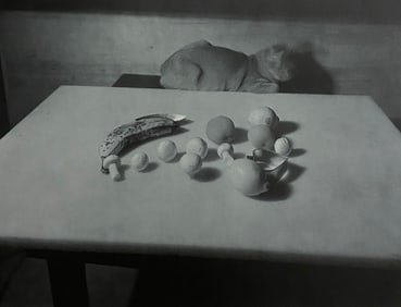 Jan Groover - Untitled, 1982