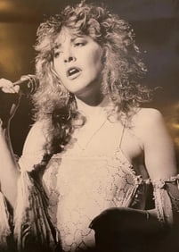 Portrait of Stevie Nicks Poster