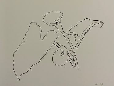 Ellsworth Kelly - Calla Lily I, 1984