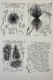 Dale Chihuly - Vintage Print of Drawings