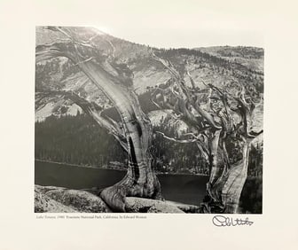 Cole Weston - Lake Tenaya, 1940 (Hand Signed)