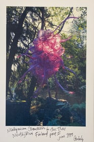 Dale Chihuly - Vintage Print, 1995 (Signed & Dated)
