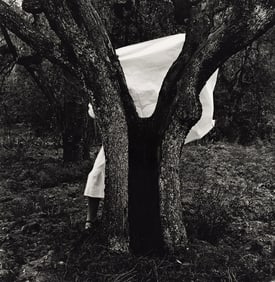 Francesca Woodman - Self-Portrait Behind Tree, 1977