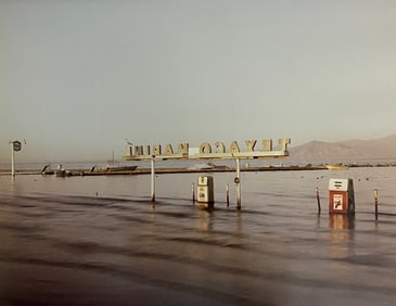 Richard Misrach - Floodeed Marina, Salton Sea 1983