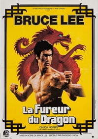 Bruce Lee - Enter the Dragon, Movie Poster