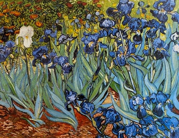 Vincent van Gogh - Irises, 1889