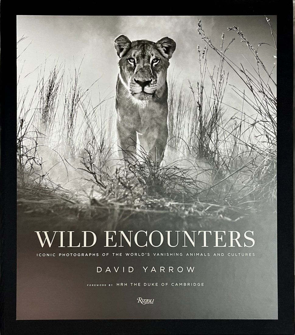 David Yarrow, Wild Encounters, Rizzoli GIANT Book /500 with Limited Edition Print /500 NIB (1 of 11)
