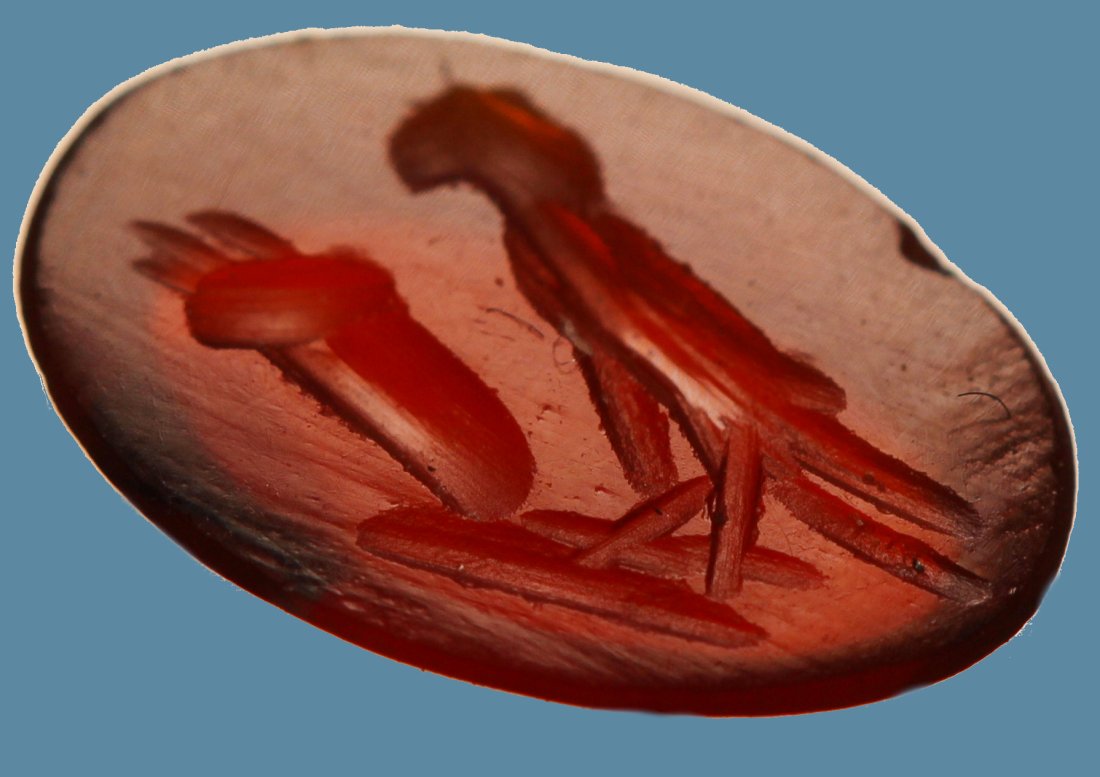 ROMAN CARNELIAN INTAGLIO OF A PARROT (1 of 2)