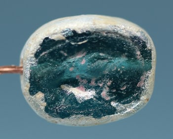 Judaean Glass Scarab: Ibex