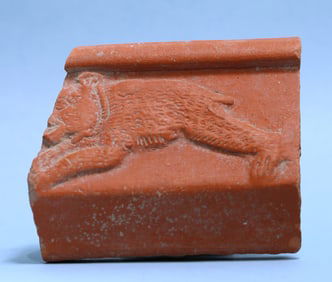 Roman Terra Sigillata Fragment