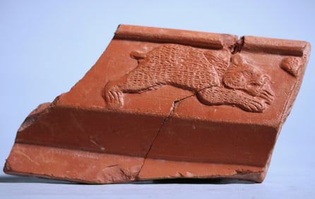 Roman Terra Sigillata Fragment: Bear