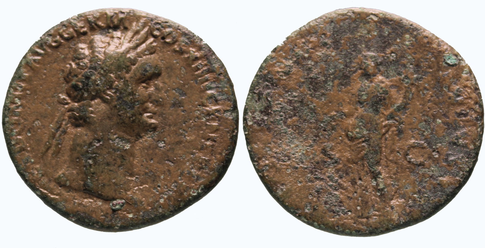 Domitian 81-96 AD: Bronze As, 27 mm, 10.62 gm.Obv: DOMITIANVS CAESAR AVG FLaureate head of Domitian facing right.Rev: Fortuna standing with a cornucopia.Domitian (b. 10/24/51AD) campaigned aggresively in Britain and Ger