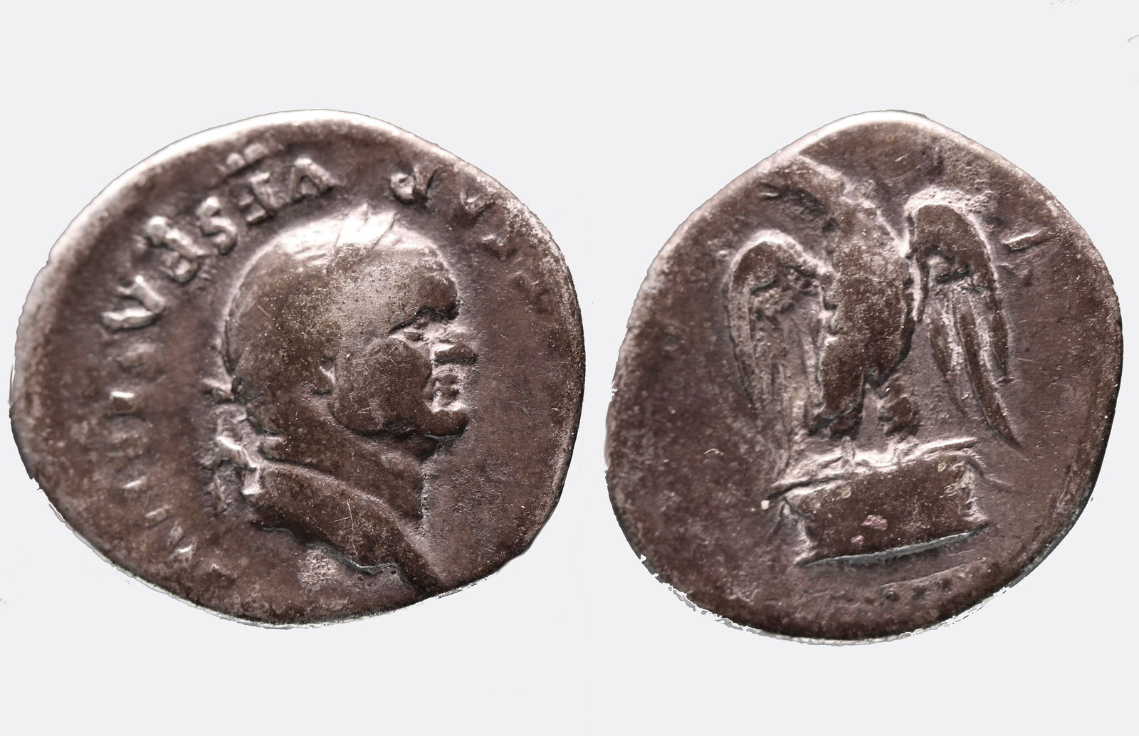 Vespasian        69-79 AD (1 of 1)