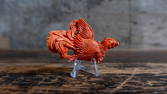 CARVED CORAL "PHOENIX"