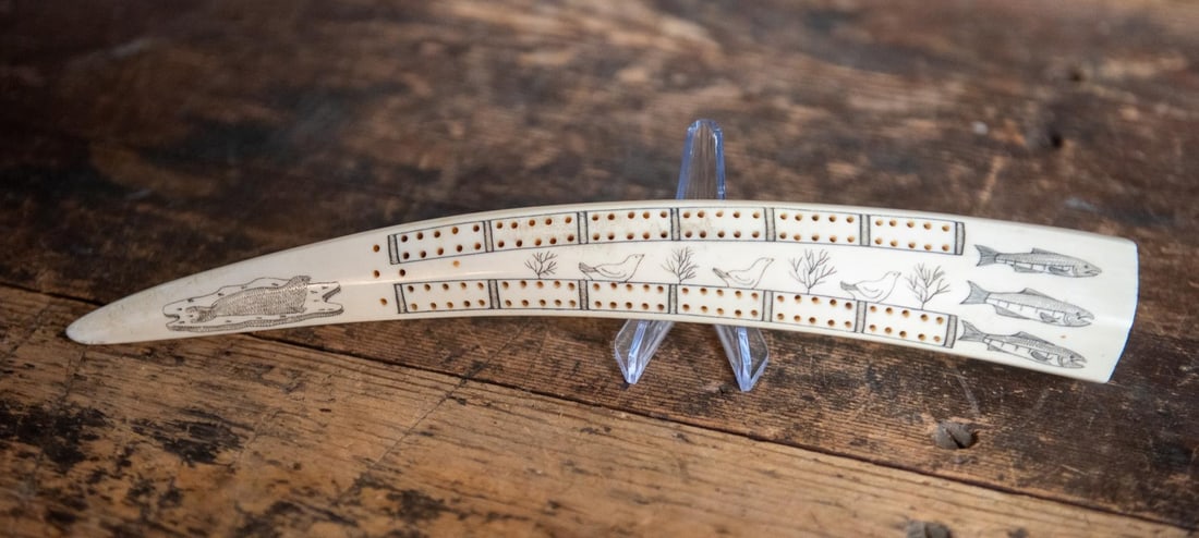 ALASKAN NATIVE WALRUS TUSK CRIBBAGE BOARD: An Alaskan Native carved decorated Walrus tusk, made into a cribbage board. The tusk depicts images of Salmon, birds and seals. This item is not available for international sale, and may not be availa