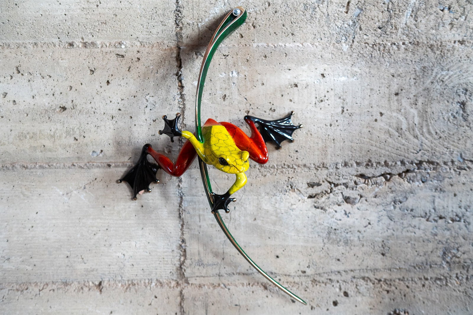 "READY, SET, GO" TIM COTTERILL (1 of 9)