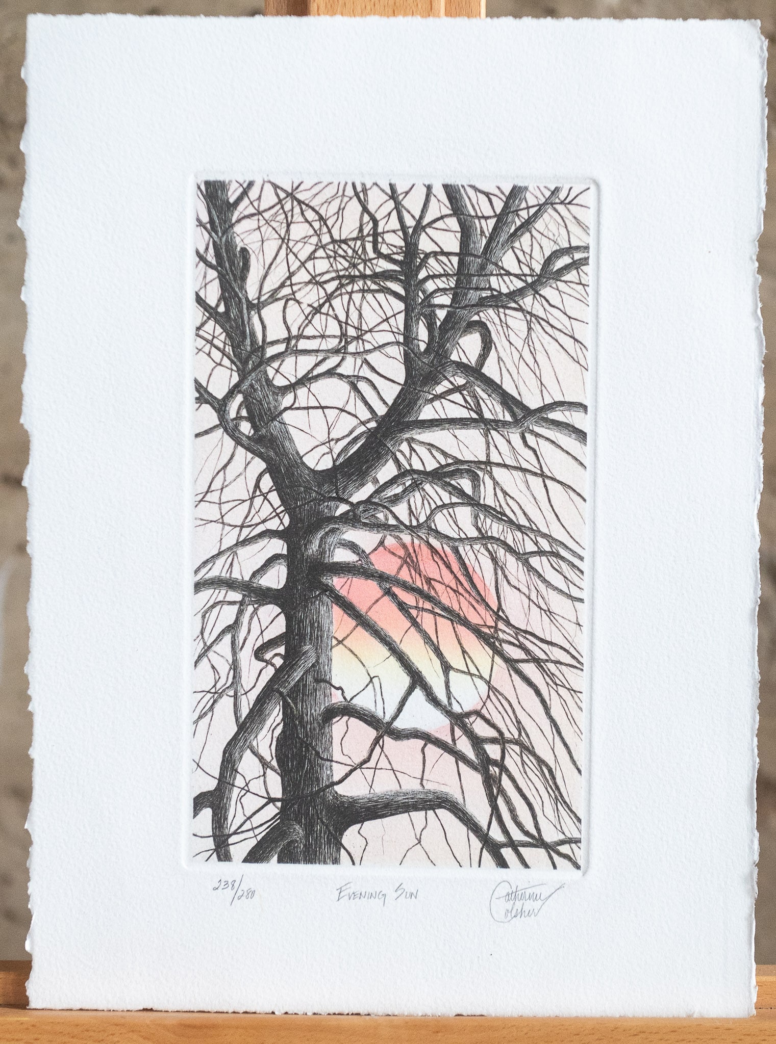 "EVENING SUN", CATHERINE COLSHER: "Evening Sun" a signed limited edition etching by listed artist Catherine Colsher of Pennsylvania. The signature, title, and edition number are written in pencil underneath the etching. Number 238/280