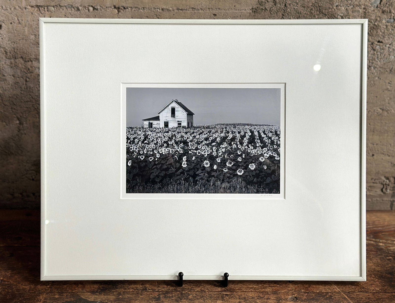 HENRY GILPIN, "SUNFLOWERS, NORTH DAKOTA" 1981 (1 of 4)