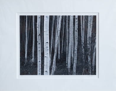 JOHN SEXTON, "ASPEN DUSK": "Aspen Dusk" a hand-signed silver photograph by listed photographer John Sexton. The negative is from 1983 and printed in 1986. Hand-signed by Sexton. John Sexton (1953-) is an American fine art photo
