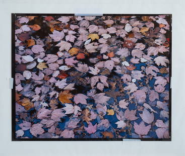 CHRISTOPHER BURKETT, "PINK FLOATING LEAVES": "Pink Floating Leaves" a cibachrome by listed photographer Christopher Burkett. Limited edition 23/200, signed by the artist circa 1990 (printed 1992). Christopher Burkett is an American photographer