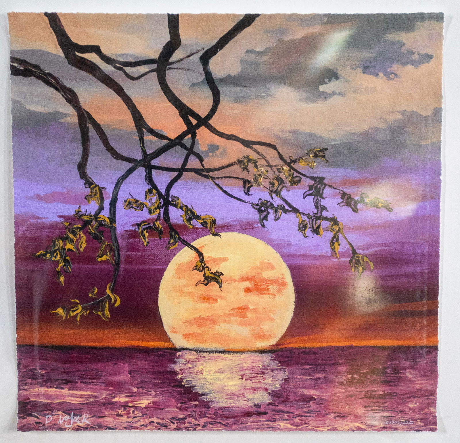 DAVID NAJAR, 'CALM OF THE NIGHT' (1 of 6)