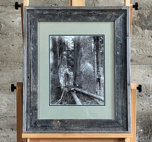 TILLAMOOK FOREST, OREGON FRAMED PHOTOGRAPH