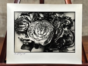 PAUL DAHLQUIST, 'RED CABBAGE'