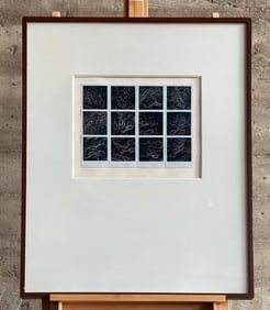 'CADENAS', FRAMED POLAROID ARTWORK